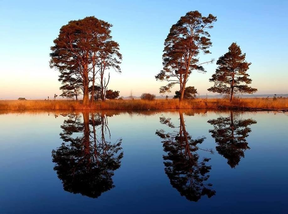 فيلا سْبيرفي Sfeervol Chalet In Drenthe Bij Het Dwingelderveld المظهر الخارجي الصورة