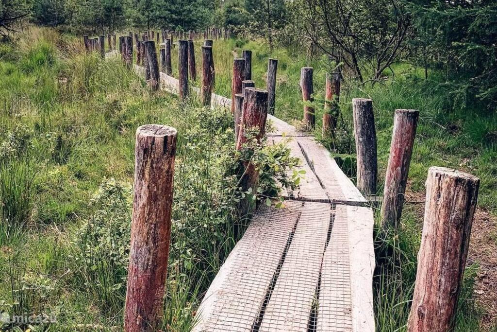 فيلا سْبيرفي Sfeervol Chalet In Drenthe Bij Het Dwingelderveld المظهر الخارجي الصورة