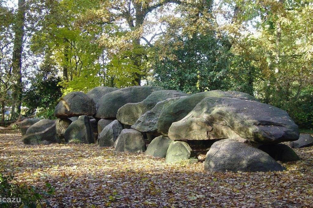 فيلا سْبيرفي Sfeervol Chalet In Drenthe Bij Het Dwingelderveld المظهر الخارجي الصورة