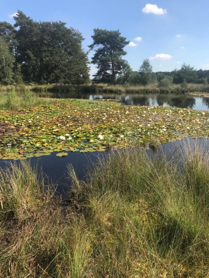 فيلا سْبيرفي Sfeervol Chalet In Drenthe Bij Het Dwingelderveld المظهر الخارجي الصورة